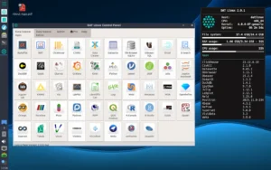 DAT Linux Distribution: A Streamlined Data Science Environment for Everyday Developers
