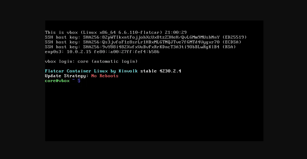 Flatcar Container: Linux Distribution for Immutable, Container-Optimized Cloud Deployments