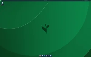 TeaLinux GNU/Linux Distribution: A Developer-Focused Arch System from Indonesia